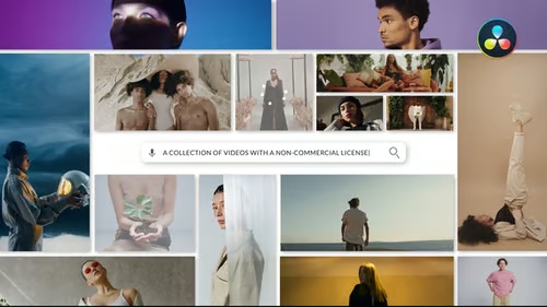 Search logo for DaVinci Resolve