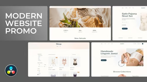 Modern Website Promotion