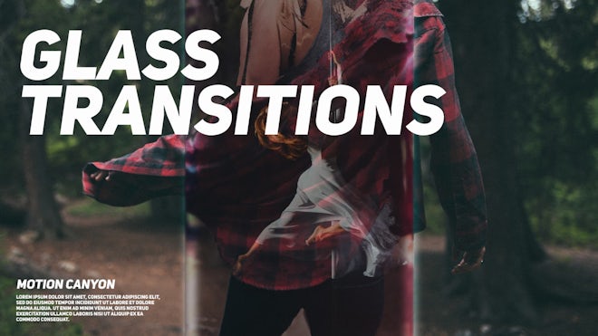 Glass Transitions