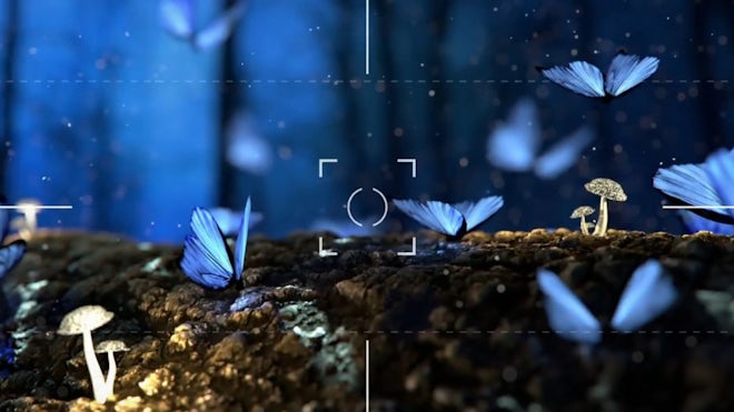 Drag-N-Drop Camera Transitions