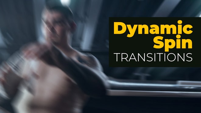 Dynamic Spin Transitions