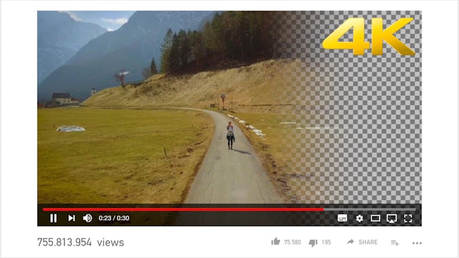 YouTube Player Viral Video